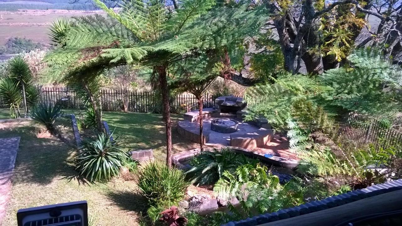 Volante * Graskop