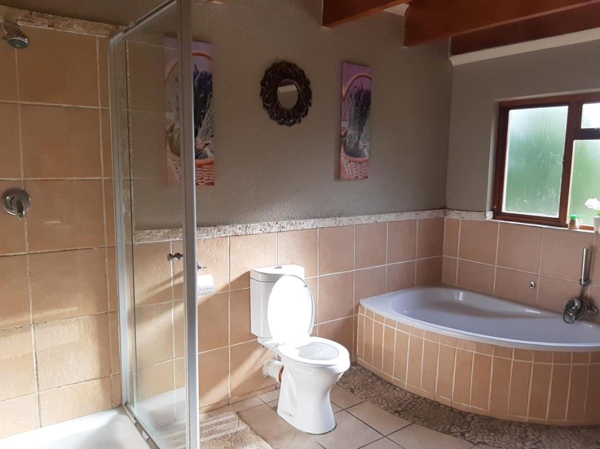 Volante Guest house *