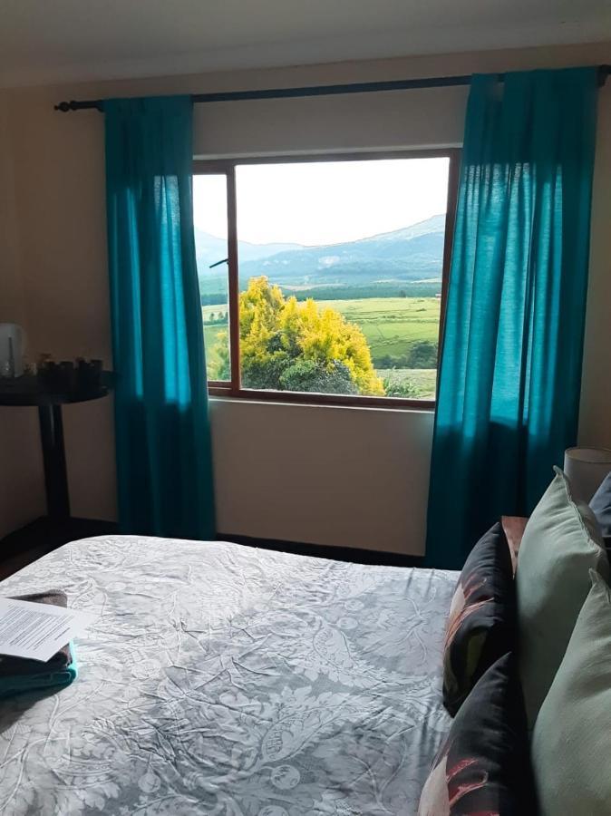 Volante Guest house
